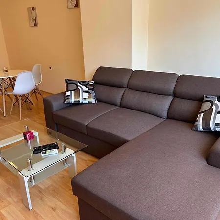 Nice, Spacious And Cozy Apartment *