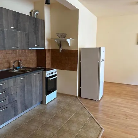 Nice, Spacious And Cozy Apartment