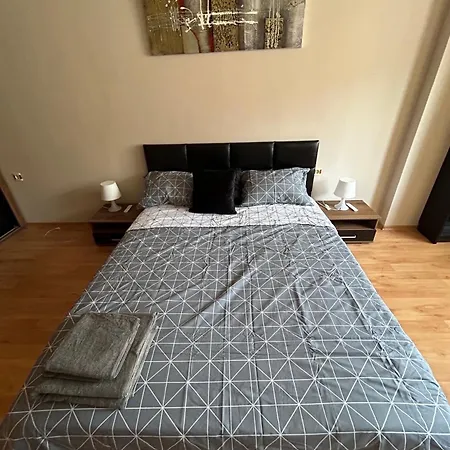 Nice, Spacious And Cozy Apartment *